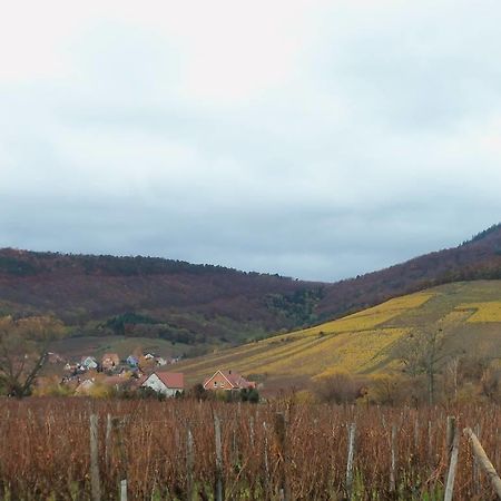 Apartment Route Du Vin Centre Alsace Orschwiller Camera foto